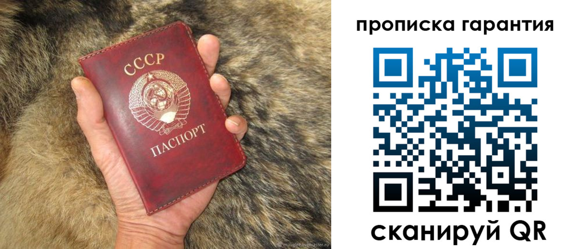 временная регистрация гарантия в Кохме